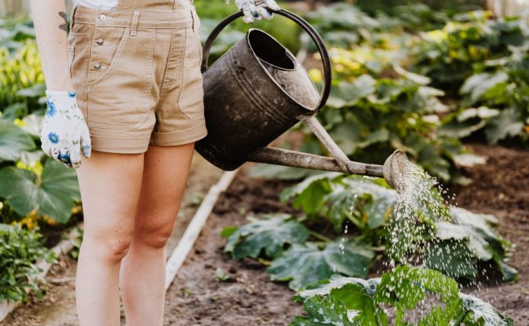 Best Gardening Affiliate Programs